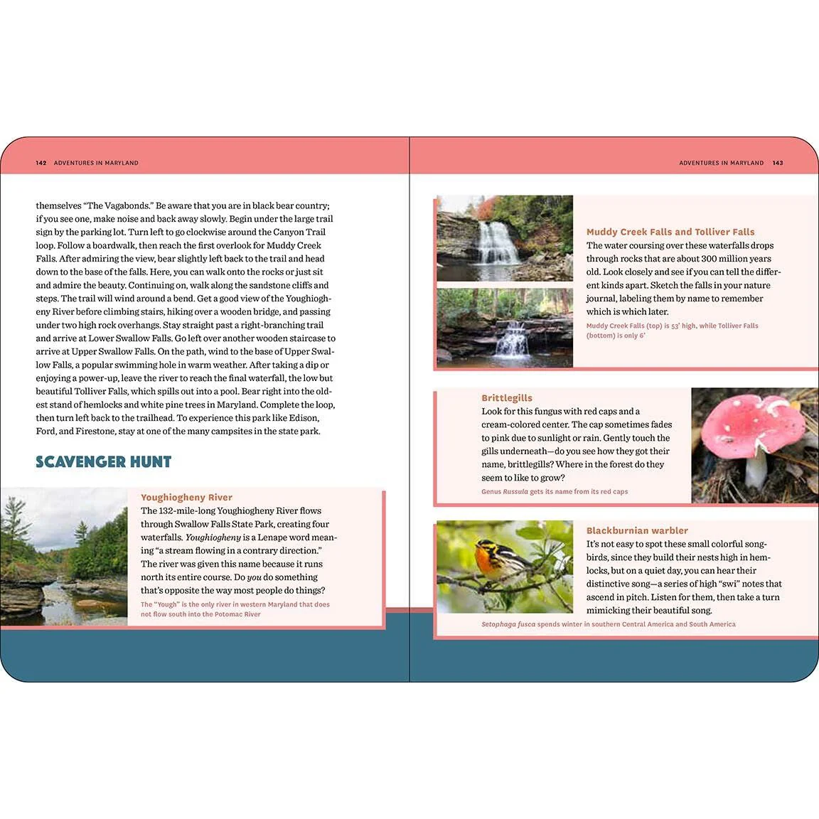 50 HIKES FOR KIDS: VIRGINA & MARYLAND BY ALISON HUMPHREYS AND WENDY GORTON - Image 5