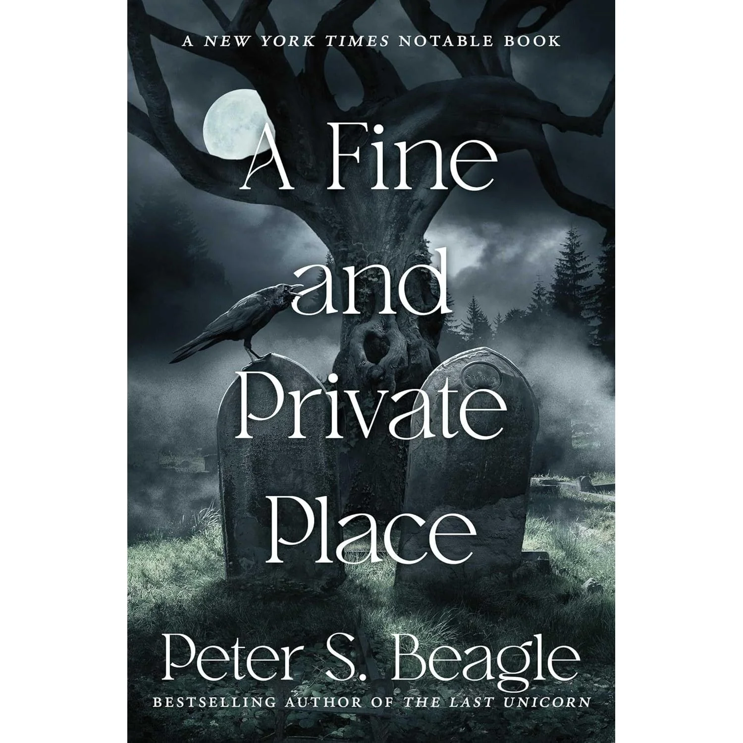 A FINE AND PRIVATE PLACE BY PETER S. BEAGLE