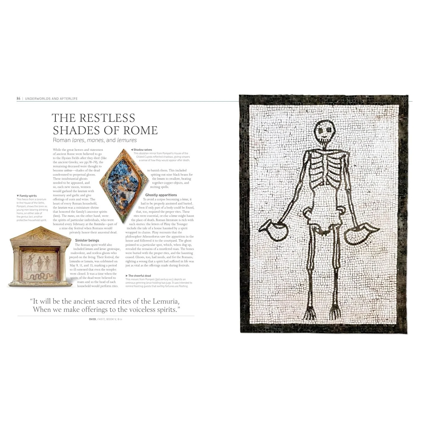 A HISTORY OF GHOSTS, SPIRITS, AND THE SUPERNATURAL (DK BOOK) - Image 3