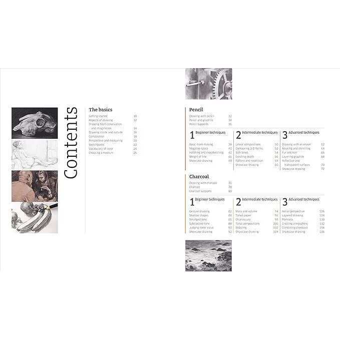ARTIST'S DRAWING TECHNIQUES: DISCOVER HOW TO DRAW LANDSCAPES, PEOPLE, STILL LIFES AND MORE, IN PENCIL, CHARCOAL, INK, AND PASTEL (DK BOOK) - Image 3