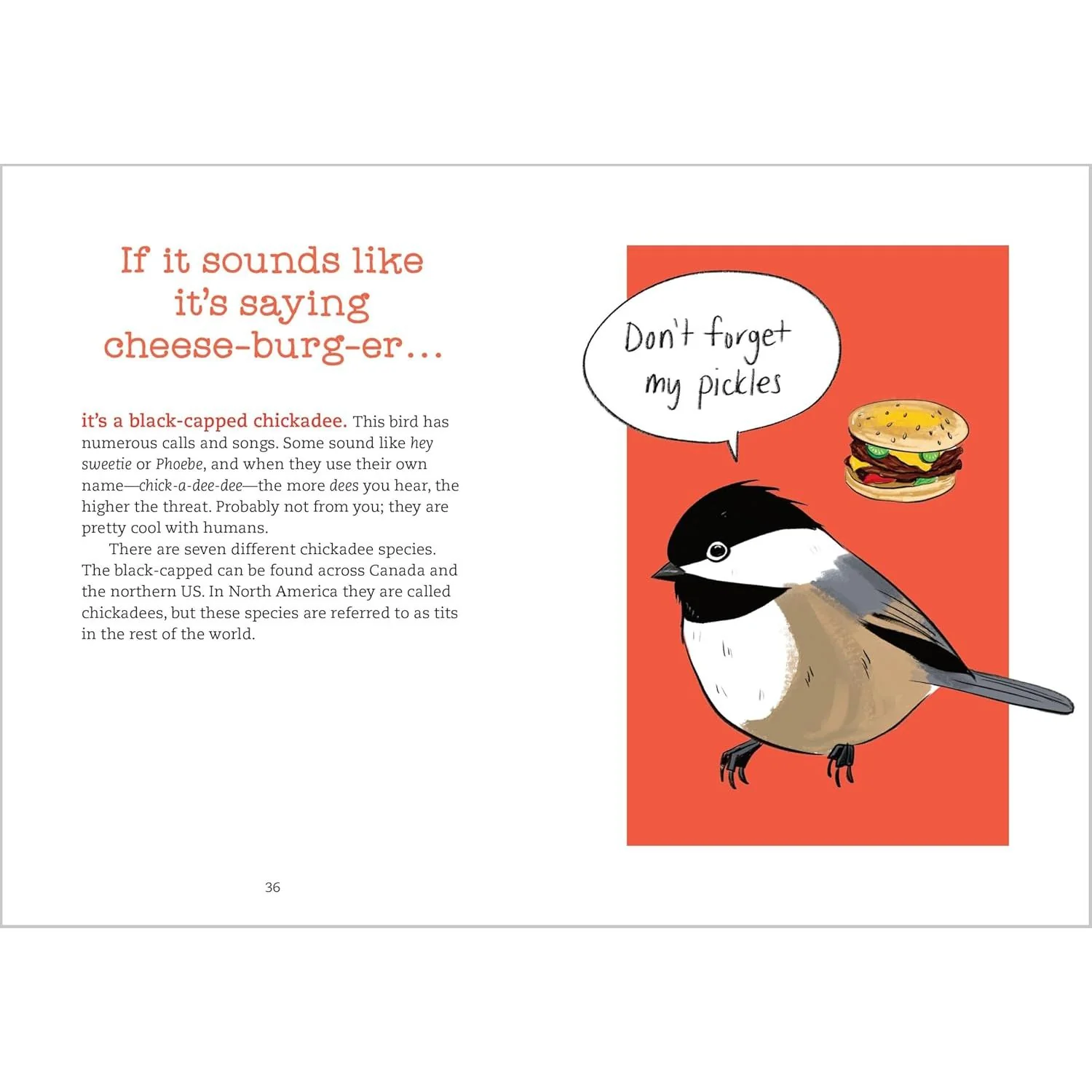 BIRD TALK: HILARIOUSLY ACCURATE WAYS TO IDENTIFY BIRDS BY THE SOUND THEY MAKE BY BECCA ROWLAND - Image 2
