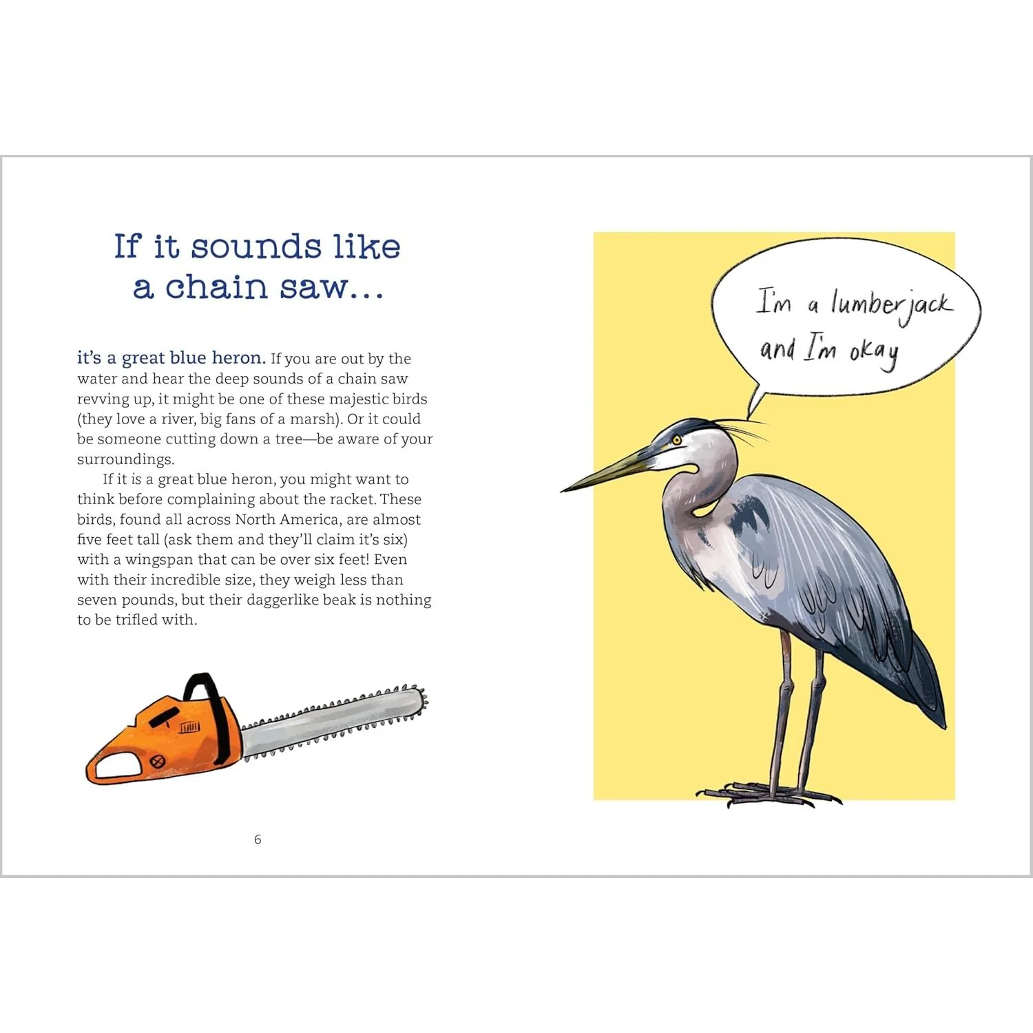 BIRD TALK: HILARIOUSLY ACCURATE WAYS TO IDENTIFY BIRDS BY THE SOUND THEY MAKE BY BECCA ROWLAND - Image 3