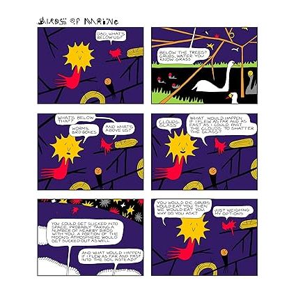 BIRDS OF MAINE GRAPHIC NOVEL - Image 2