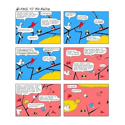 BIRDS OF MAINE GRAPHIC NOVEL - Image 4
