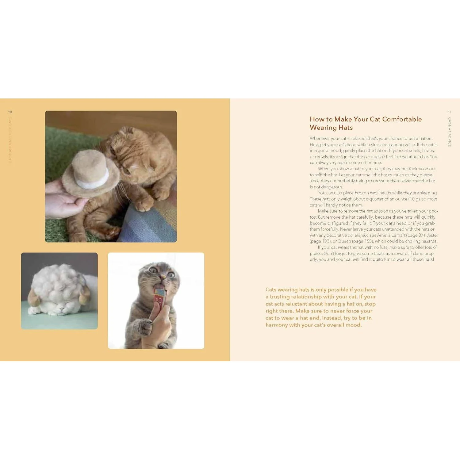 CAT-HAIR HATS FOR CATS BY ROJIMAN & UMATAN - Image 2