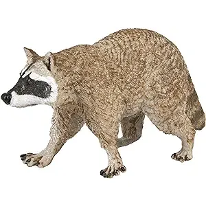 RACCOON