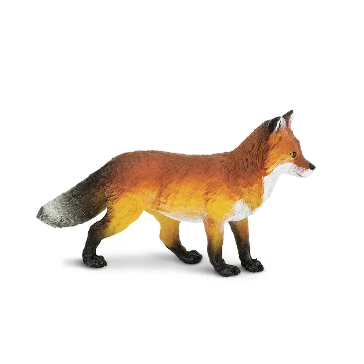 FOX - Image 2