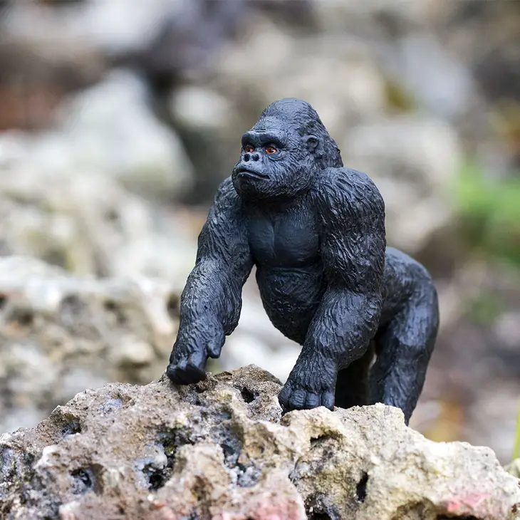 LOWLAND GORILLA - Image 2