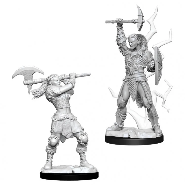 Nolzur's Female Goliath Barbarian