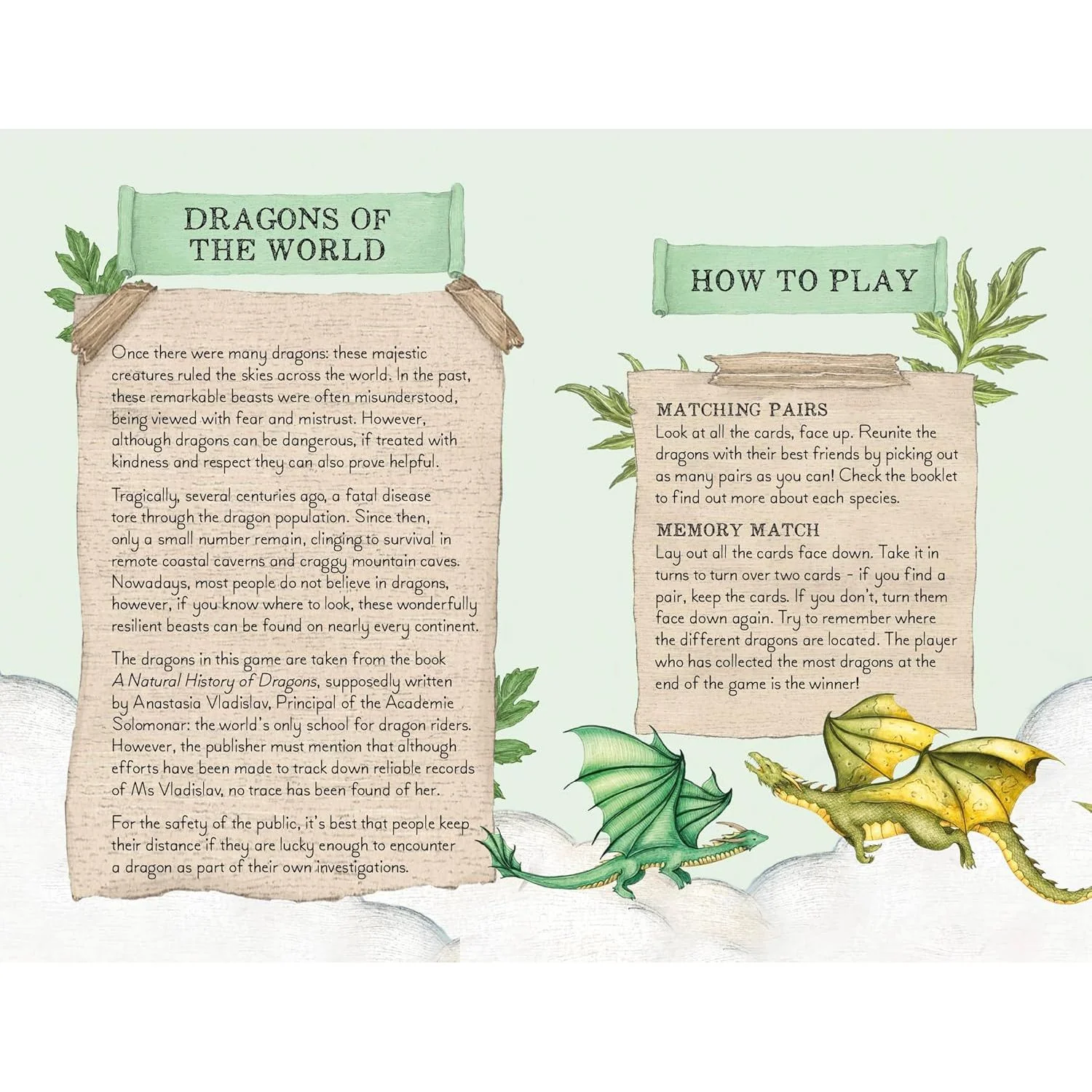 DISCOVER THE DRAGONS: MEMORY GAME ILLUSTRATED BY JESSICA ROUX - Image 3