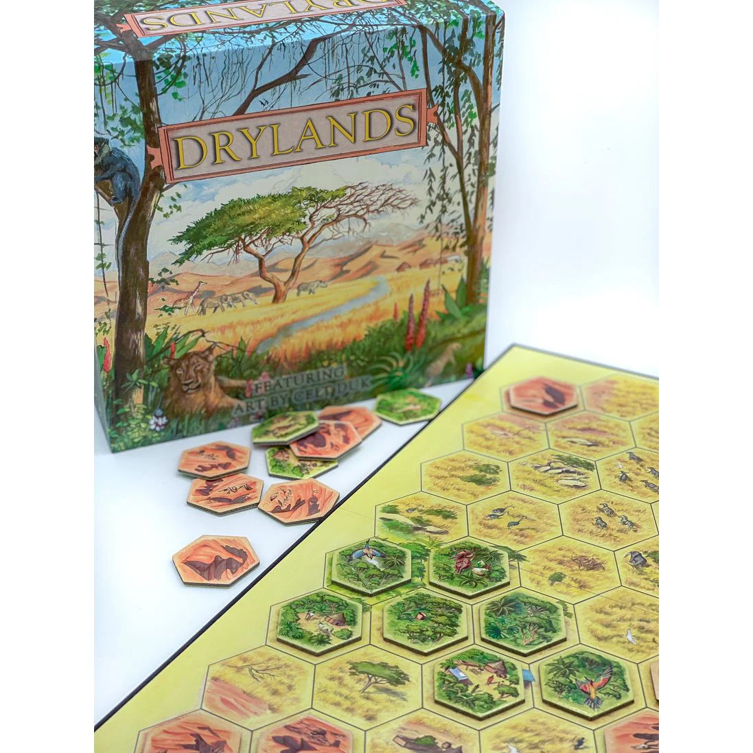 DRYLANDS - Image 2