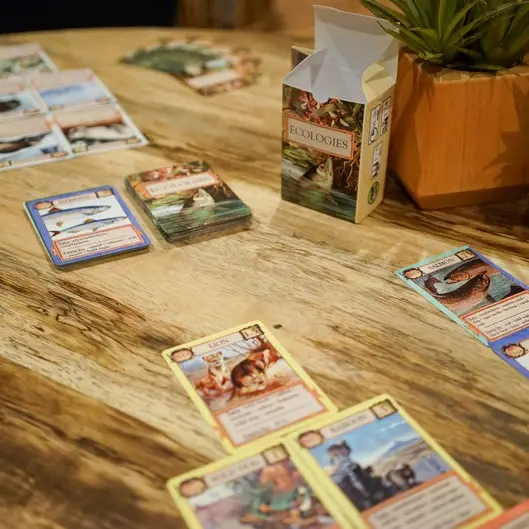 ECOLOGIES CARD GAME - Image 2