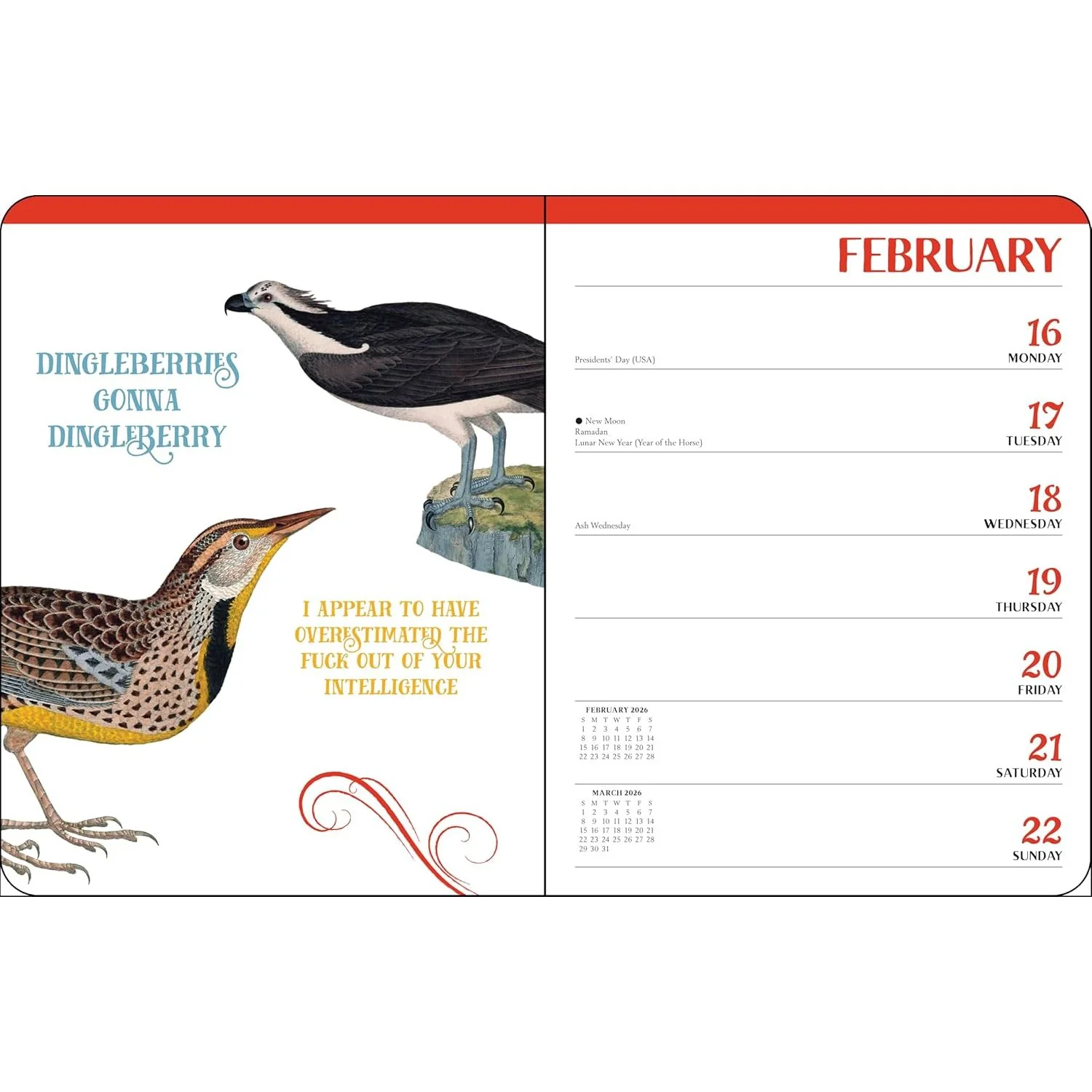 EFFIN' BIRDS 2026 MONTHLY/WEEKLY PLANNER - Image 3