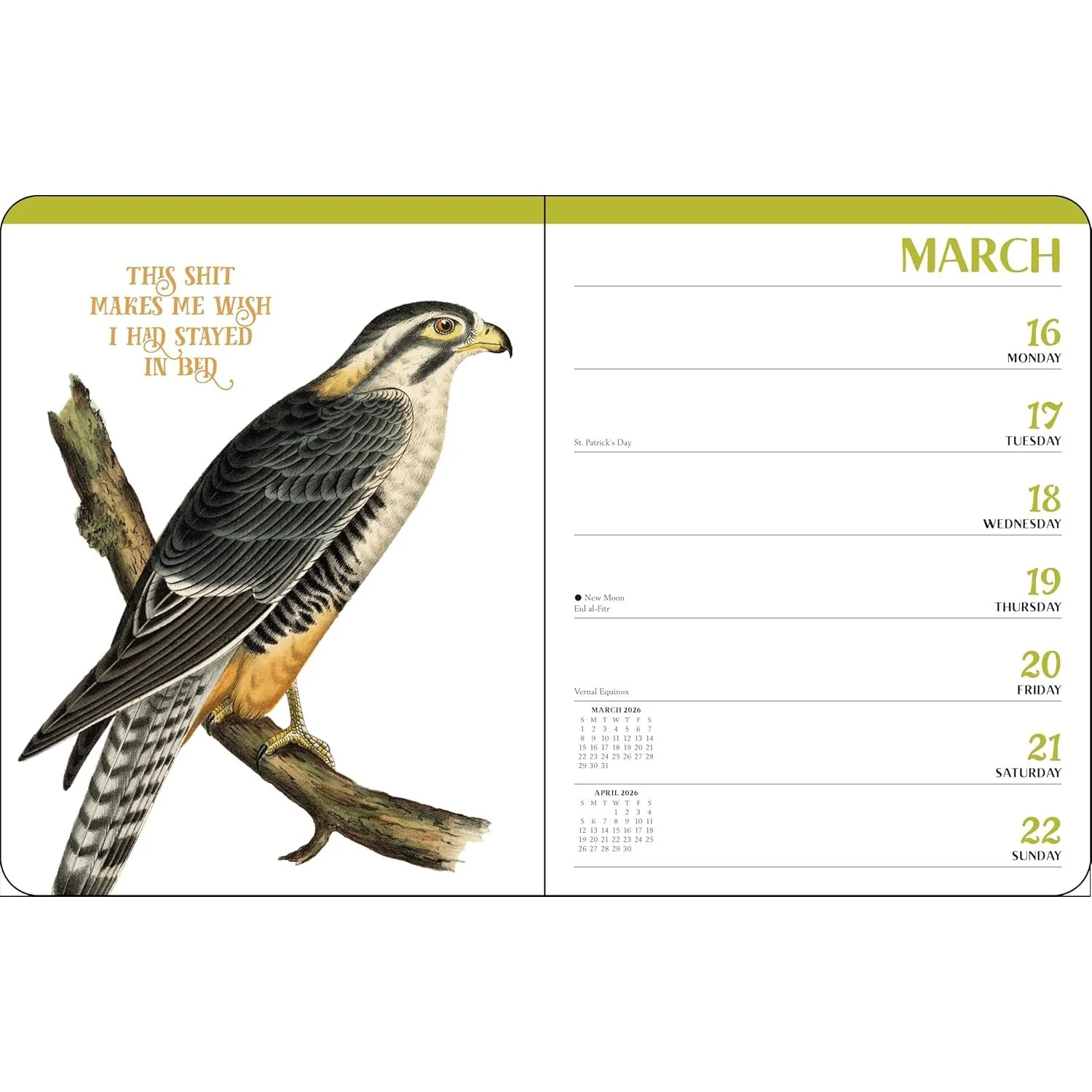 EFFIN' BIRDS 2026 MONTHLY/WEEKLY PLANNER - Image 4
