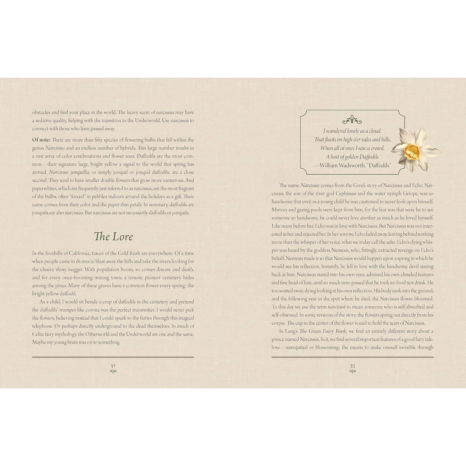 ENCHANTED PLANTS: A TREASURY OF BOTANICAL FOLKLORE & MAGIC BY VARLA VENTURA - Image 3