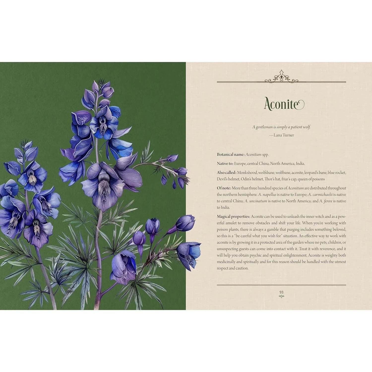 ENCHANTED PLANTS: A TREASURY OF BOTANICAL FOLKLORE & MAGIC BY VARLA VENTURA - Image 5
