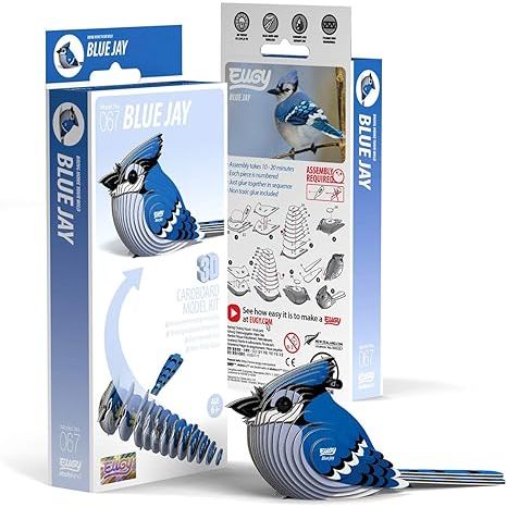 EUGY BLUE JAY - Image 2