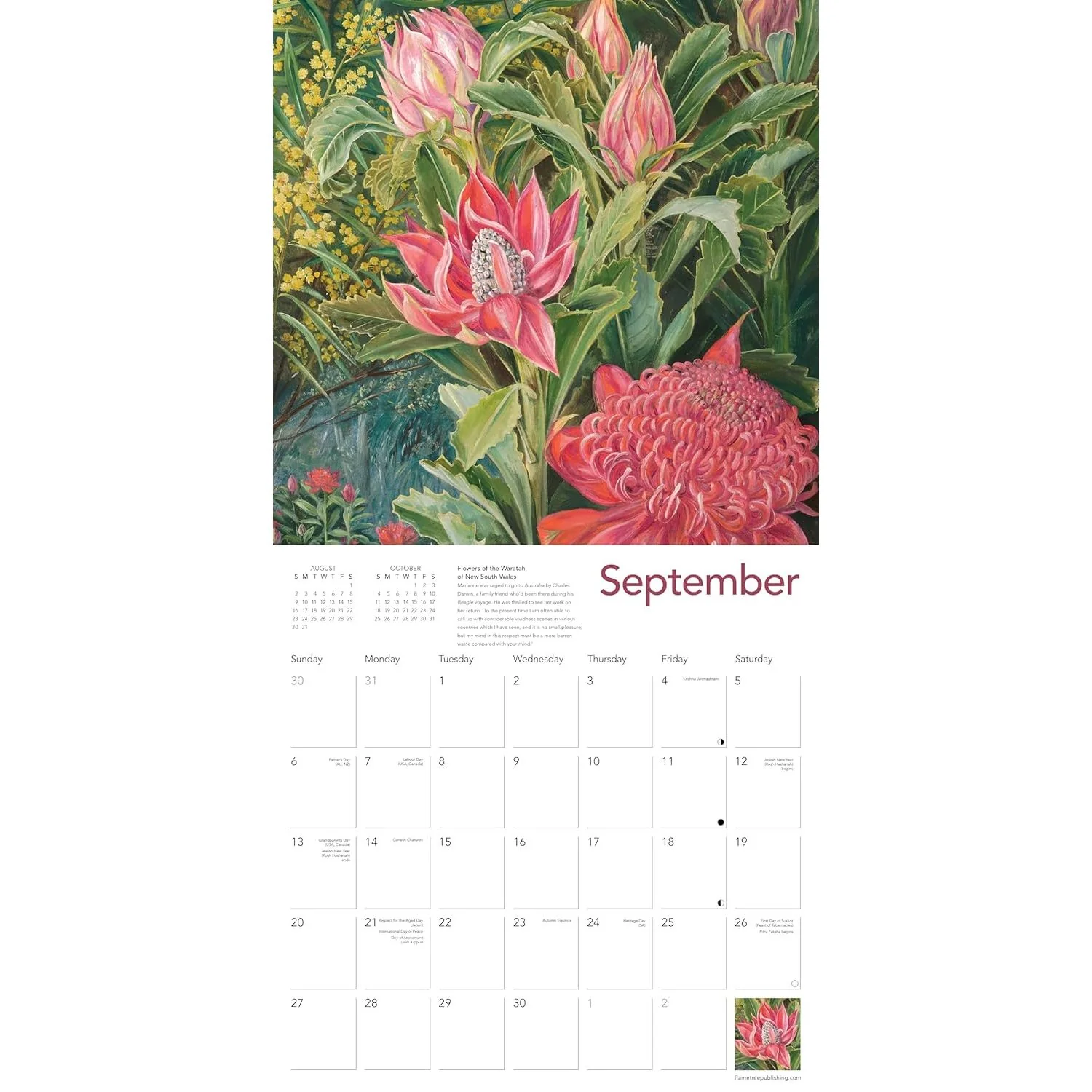 EXOTIC PLANTS WALL CALENDAR 2026 - Image 2