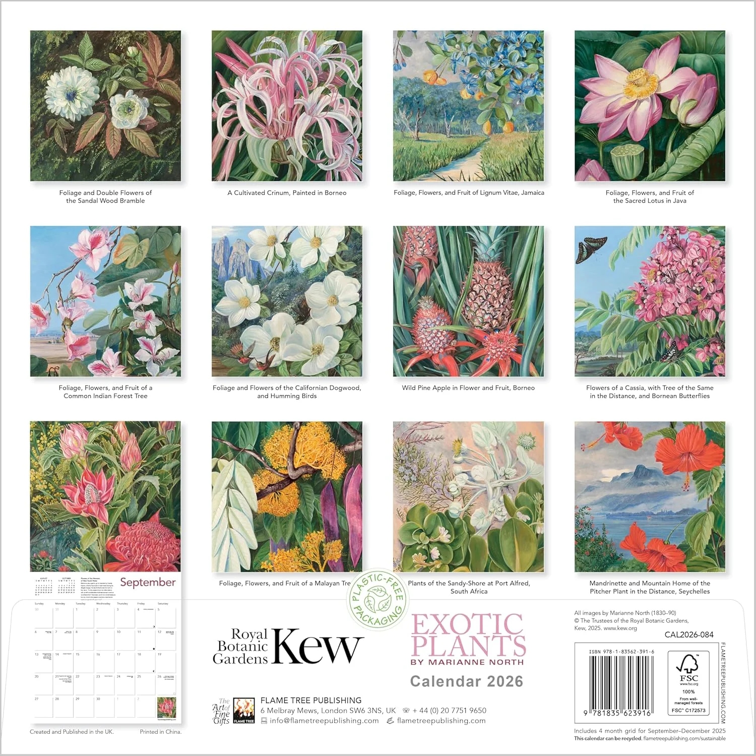 EXOTIC PLANTS WALL CALENDAR 2026 - Image 3