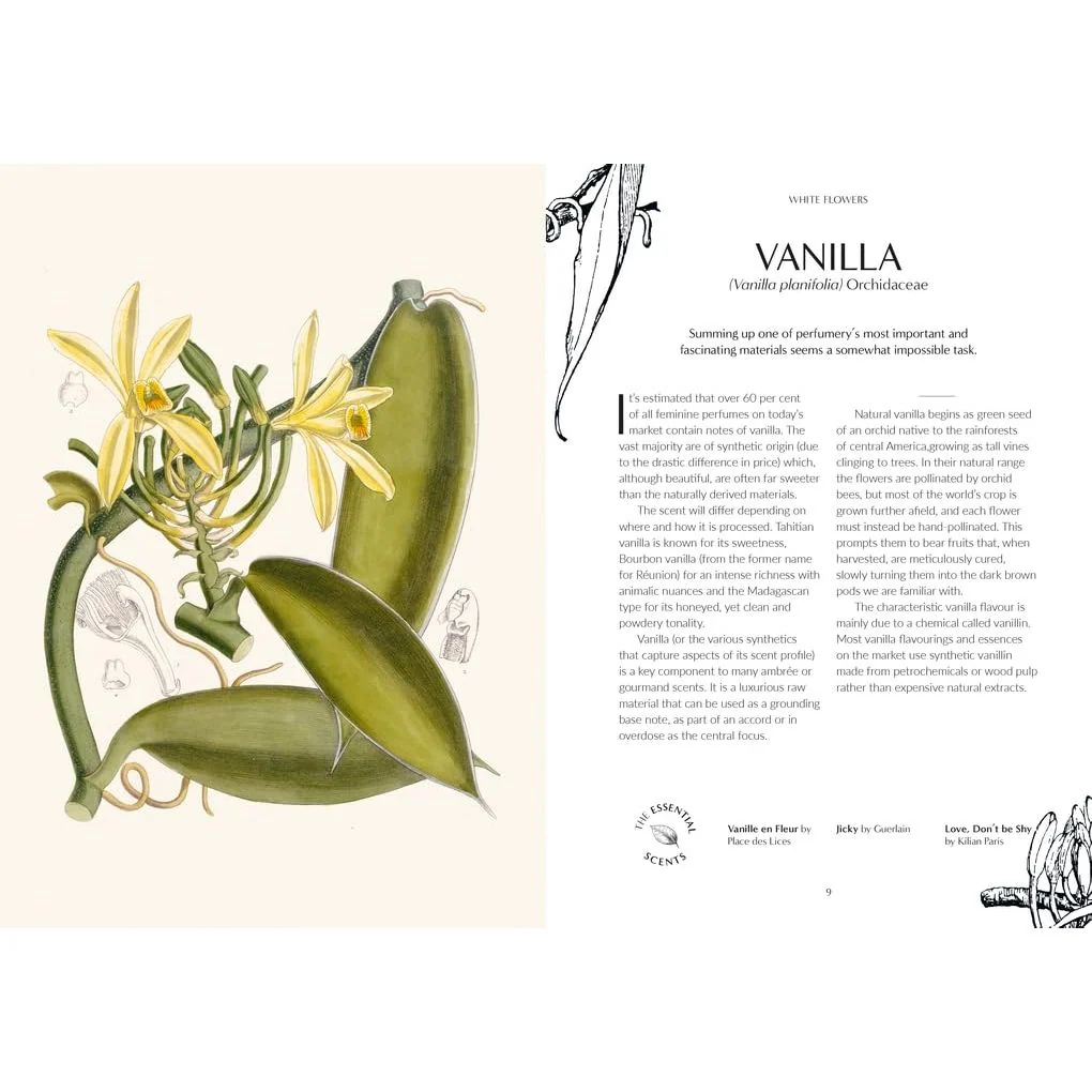 FRAGRANCE: FROM PLANT OT PERFUME- THE BOTANICAL ORIGIN OF SCENT BY JOSH CARTER & SAMUEL GEARING - Image 3