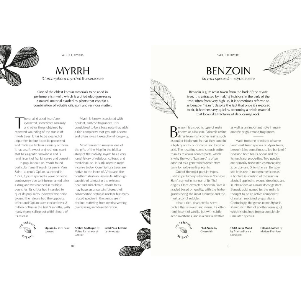 FRAGRANCE: FROM PLANT OT PERFUME- THE BOTANICAL ORIGIN OF SCENT BY JOSH CARTER & SAMUEL GEARING - Image 4