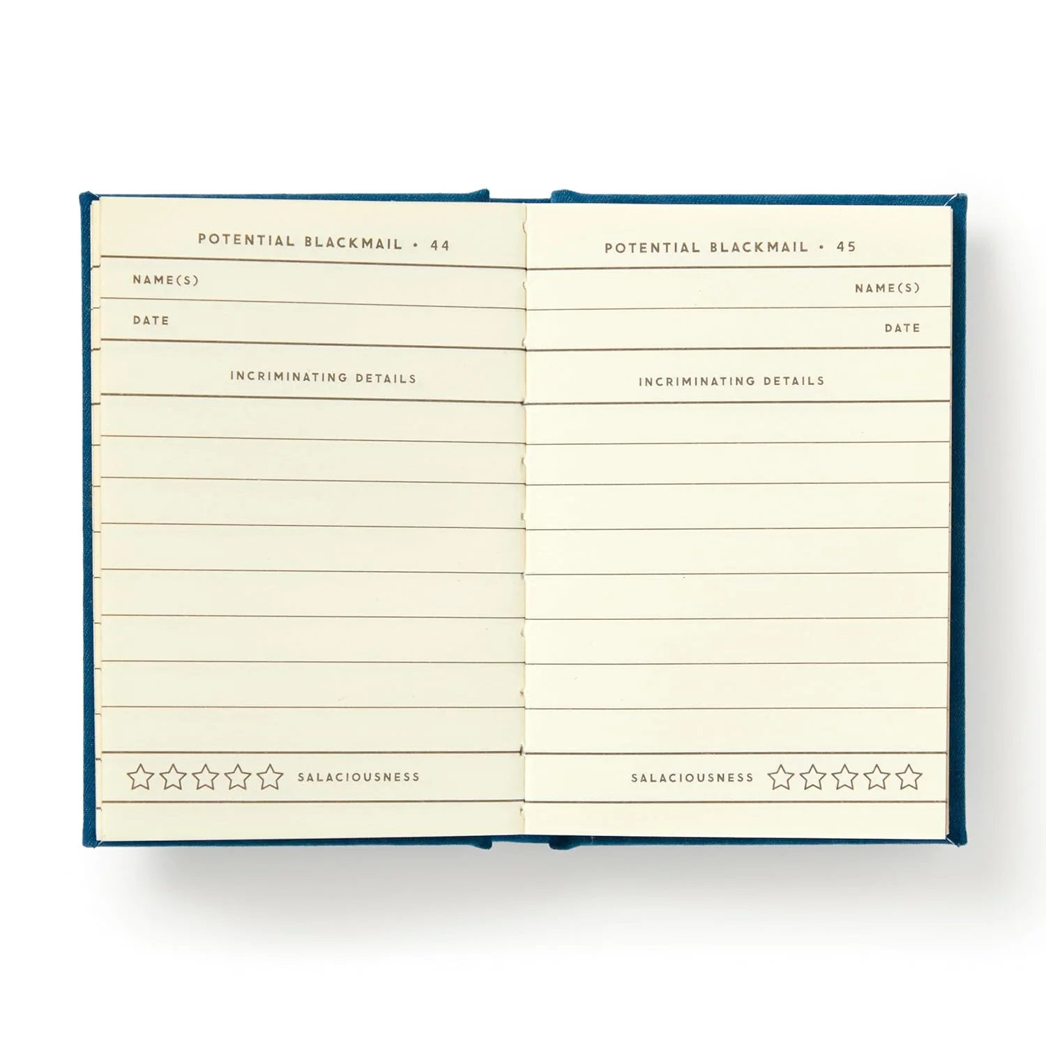 FUTURE BLACKMAIL (A TINY DIARY) - Image 3
