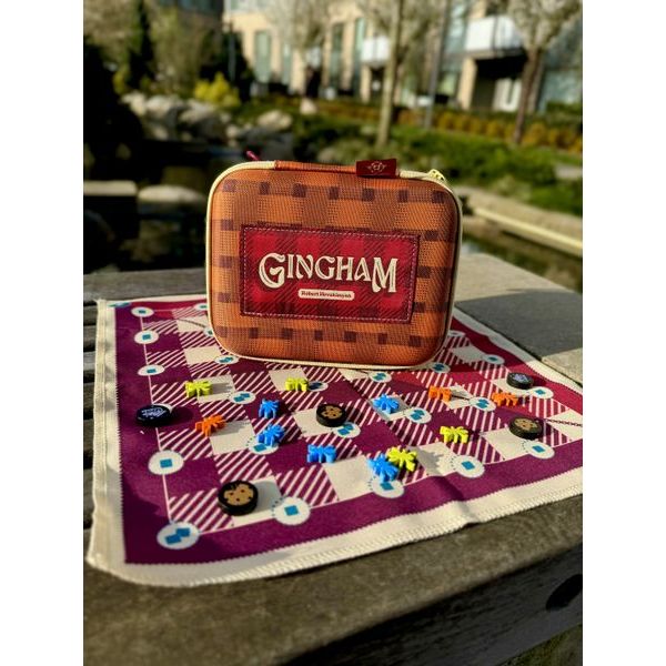 GINGHAM TRAVEL CASE - Image 2