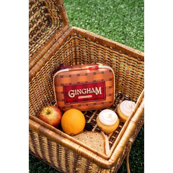 GINGHAM TRAVEL CASE - Image 3