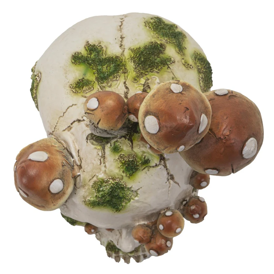 GOBLINCORE MUSHROOM SKULL - Image 4