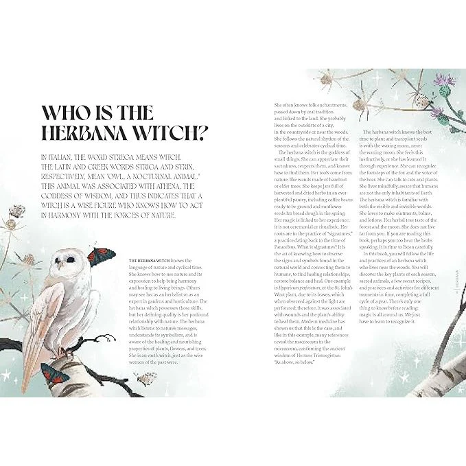 HERBANA WITCH: A YEAR IN THE FOREST BY CECILIA LATTARI - Image 3