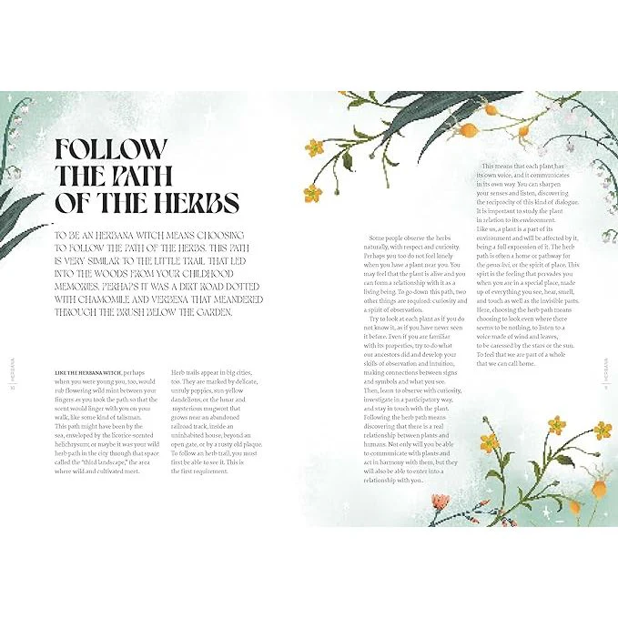 HERBANA WITCH: A YEAR IN THE FOREST BY CECILIA LATTARI - Image 4