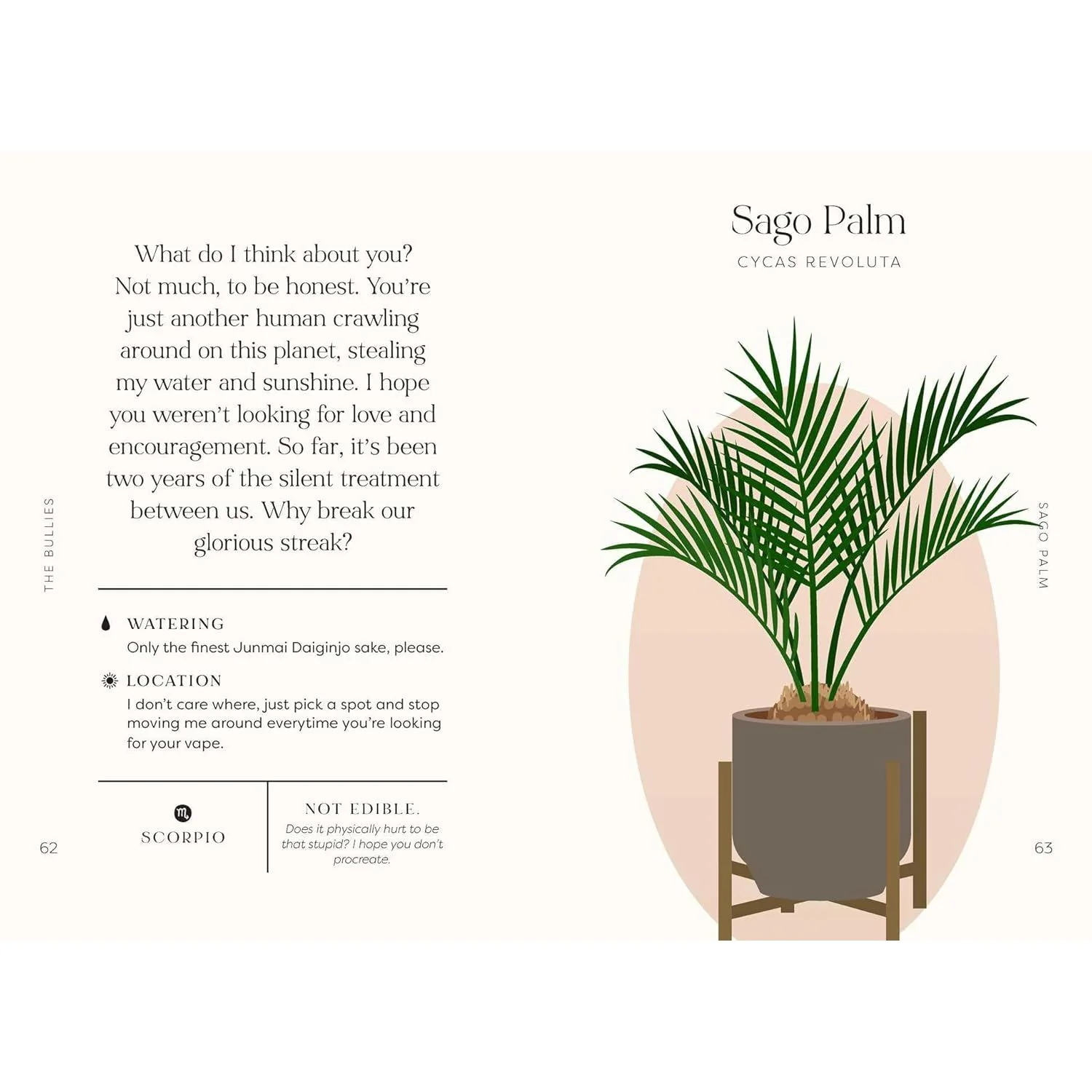 HOUSE PLANTS AND THEIR F*CKED UP THOUGHTS (P.S.-THEY HATE YOU) BY CARLYLE CHRISTOFF AND ELIZABETH SAAKE - Image 2