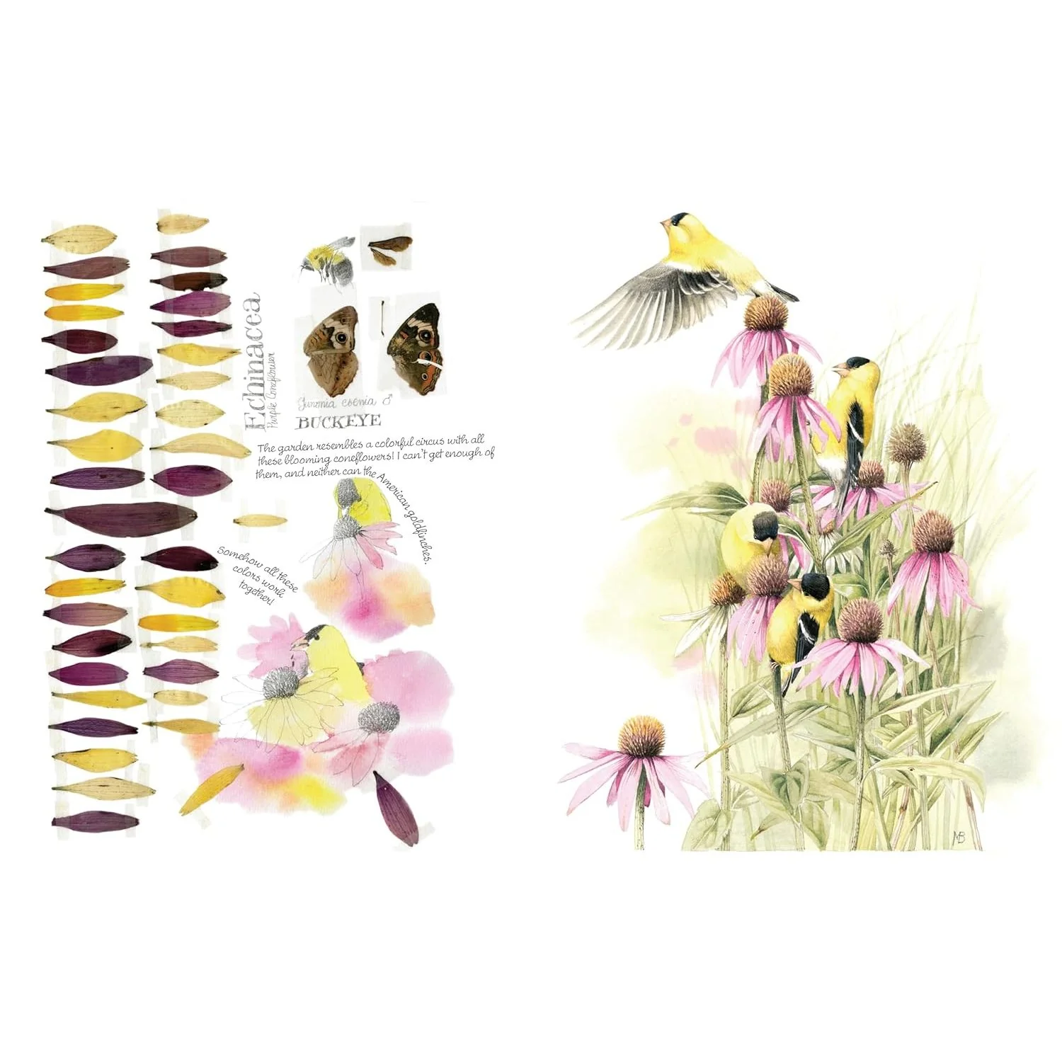 INSPIRED BY NATURE SKETCHBOOK BY MARJOLEIN BASTIN - Image 2