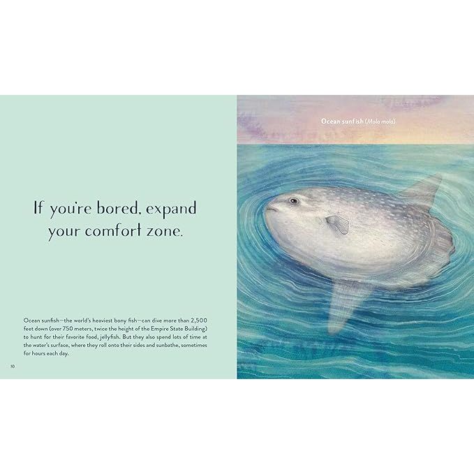 LEAVING THE OCEAN WAS A MISTAKE: LIFE LESSONS FROM SIXTY SEA CREATURES BY CARA GIAIMO ILLUSTRATED BY VLAD STANKOVIC - Image 3