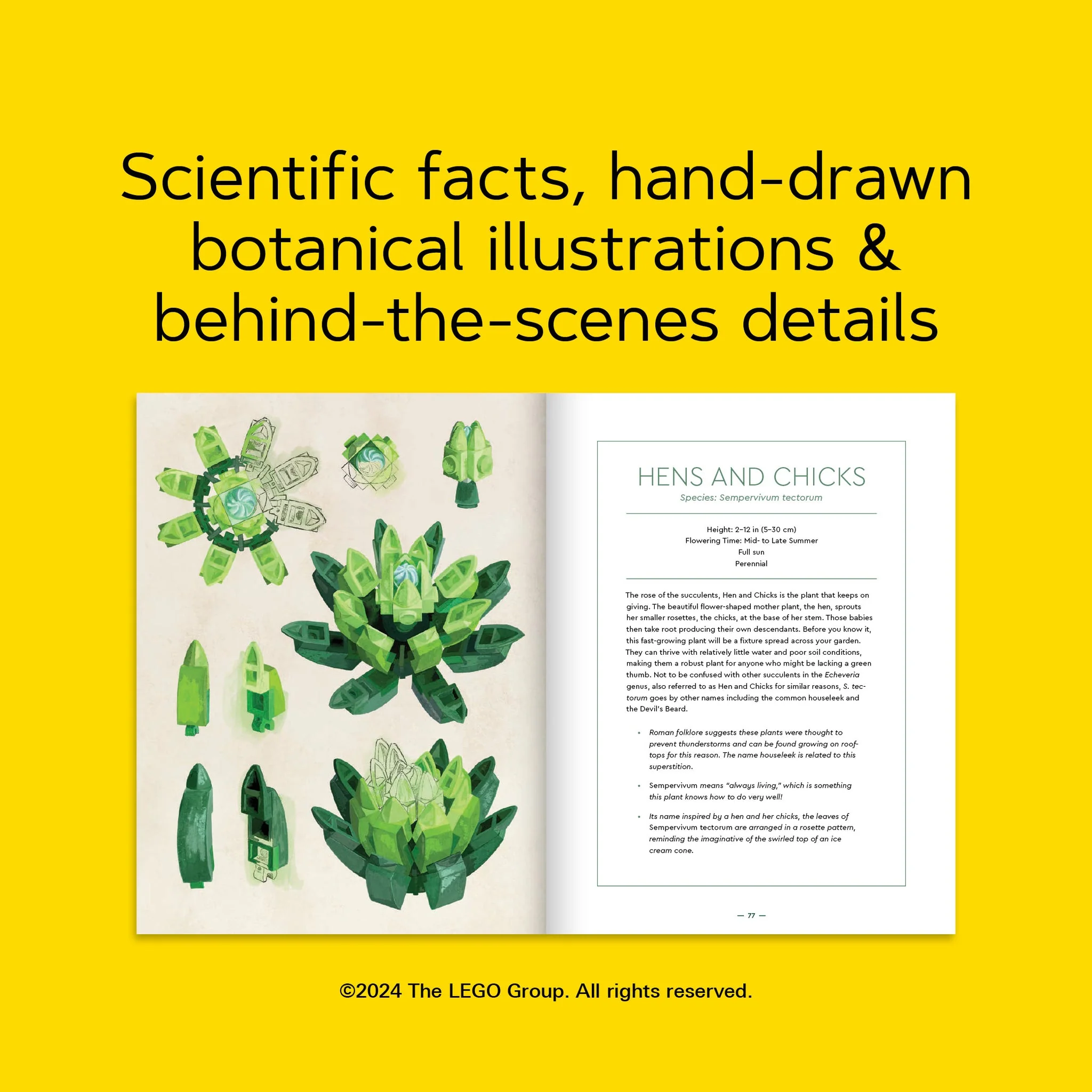 LEGO BOTANICALS ALMANAC - Image 2