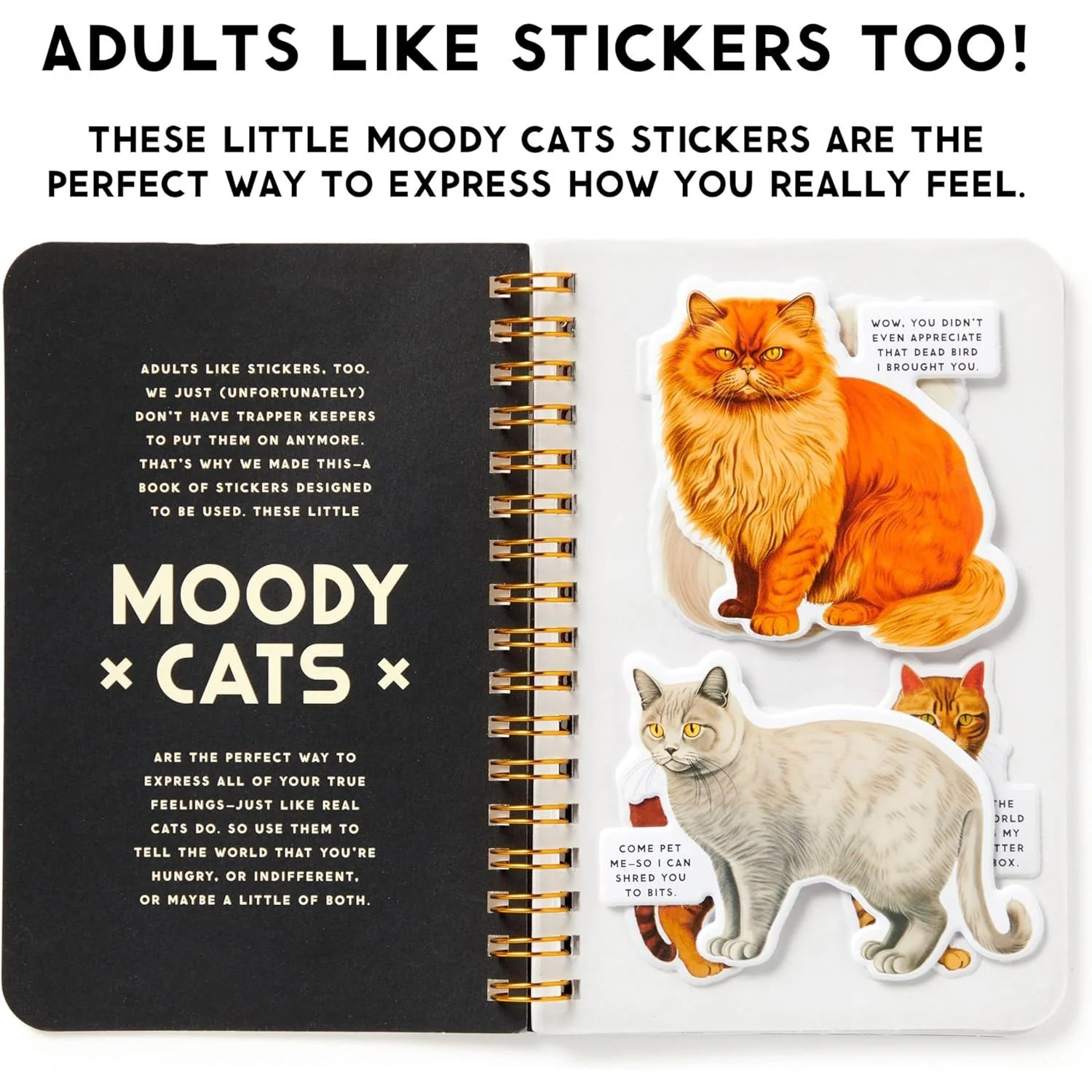 MOODY CATS STICKER BOOK - Image 2