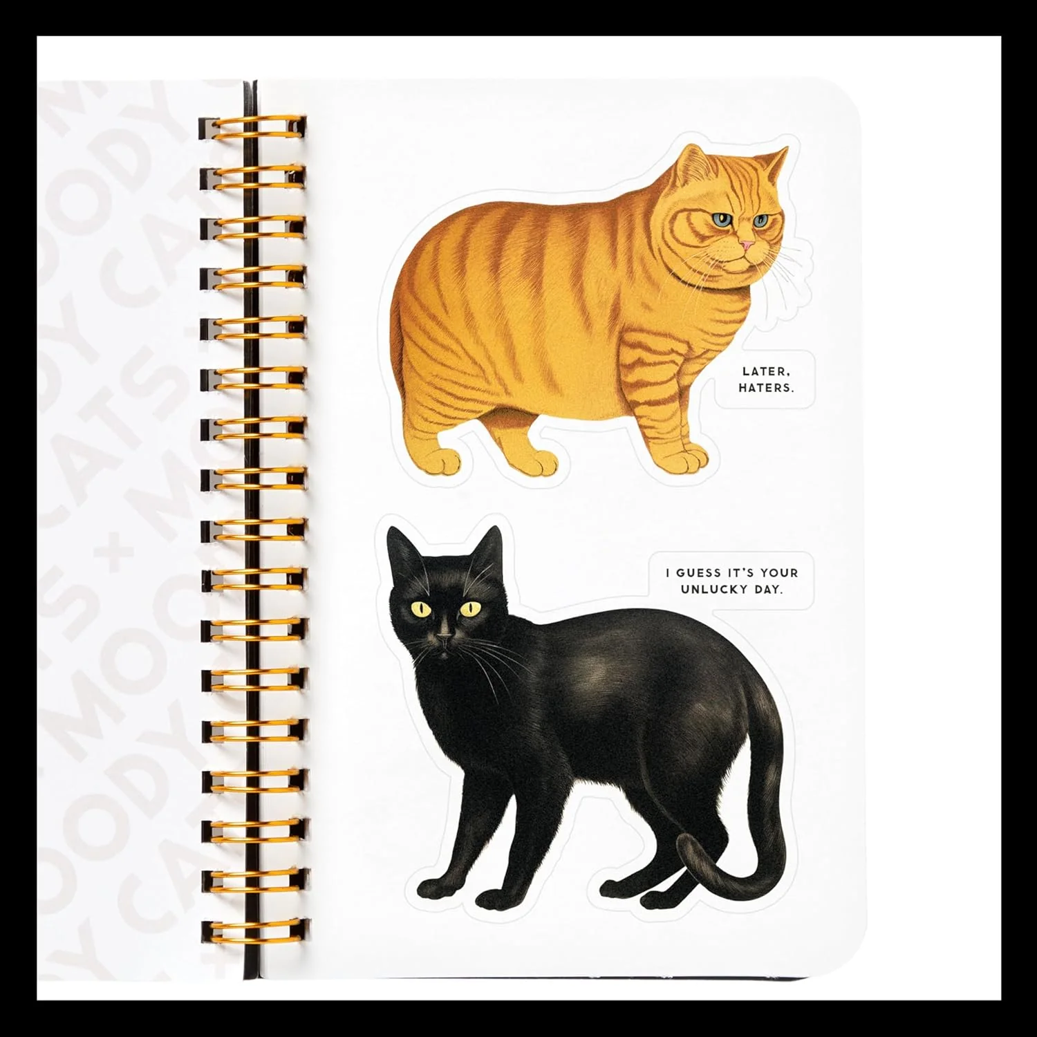 MOODY CATS STICKER BOOK - Image 4