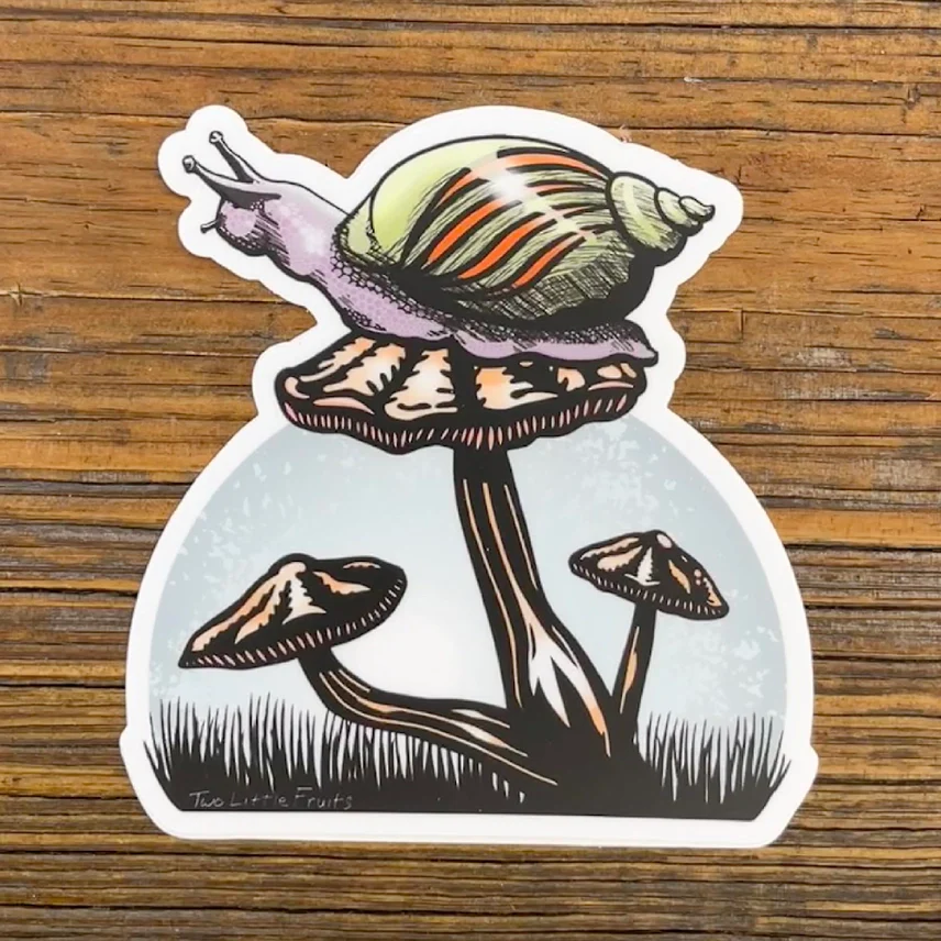MUSHROOM SNAIL