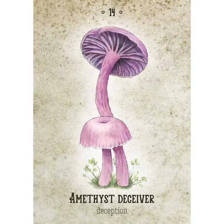 MUSHROOM SPIRIT ORACLE - Image 4