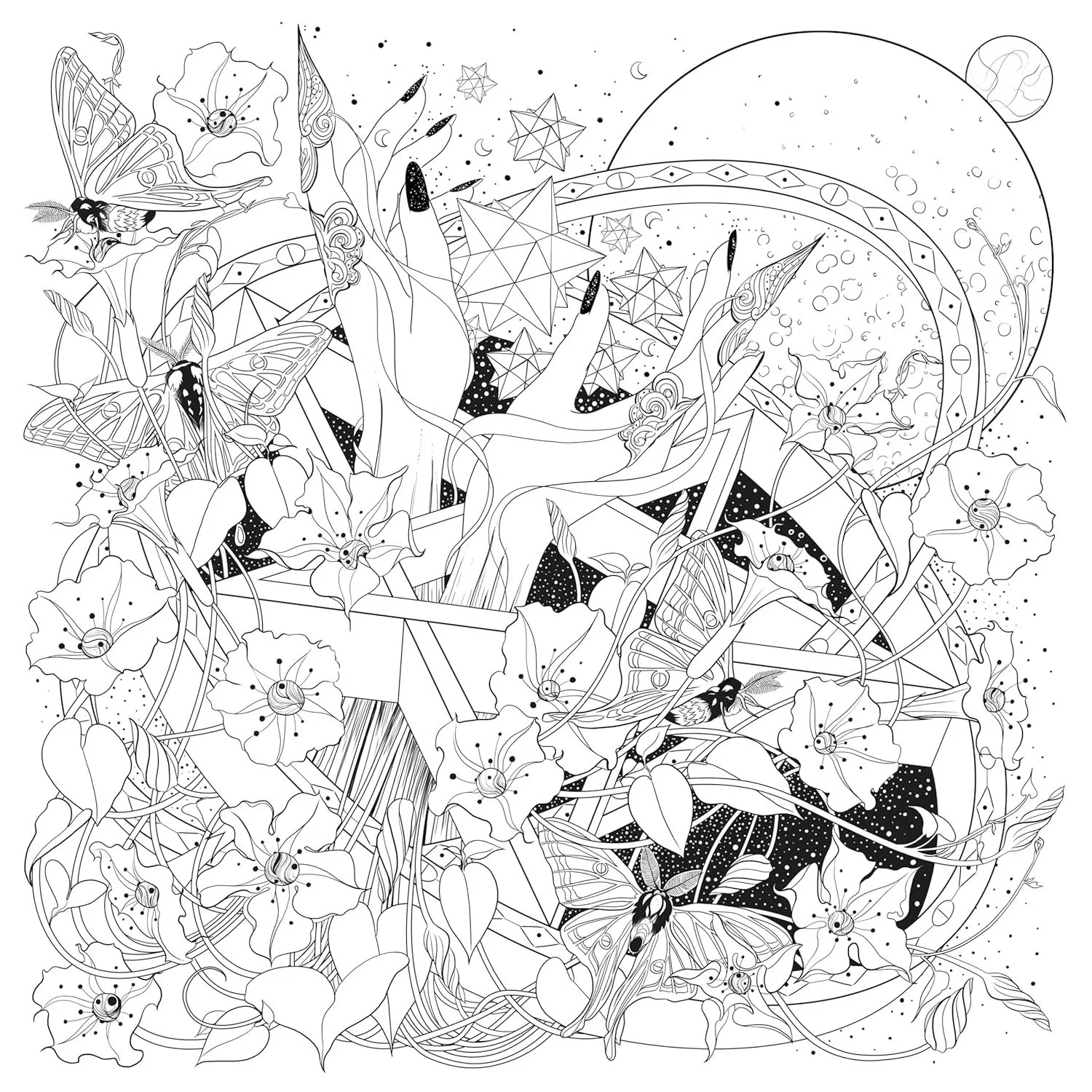MYTHOGRAPHIC: MAGICK APOTHECARY COLORING BOOK - Image 2