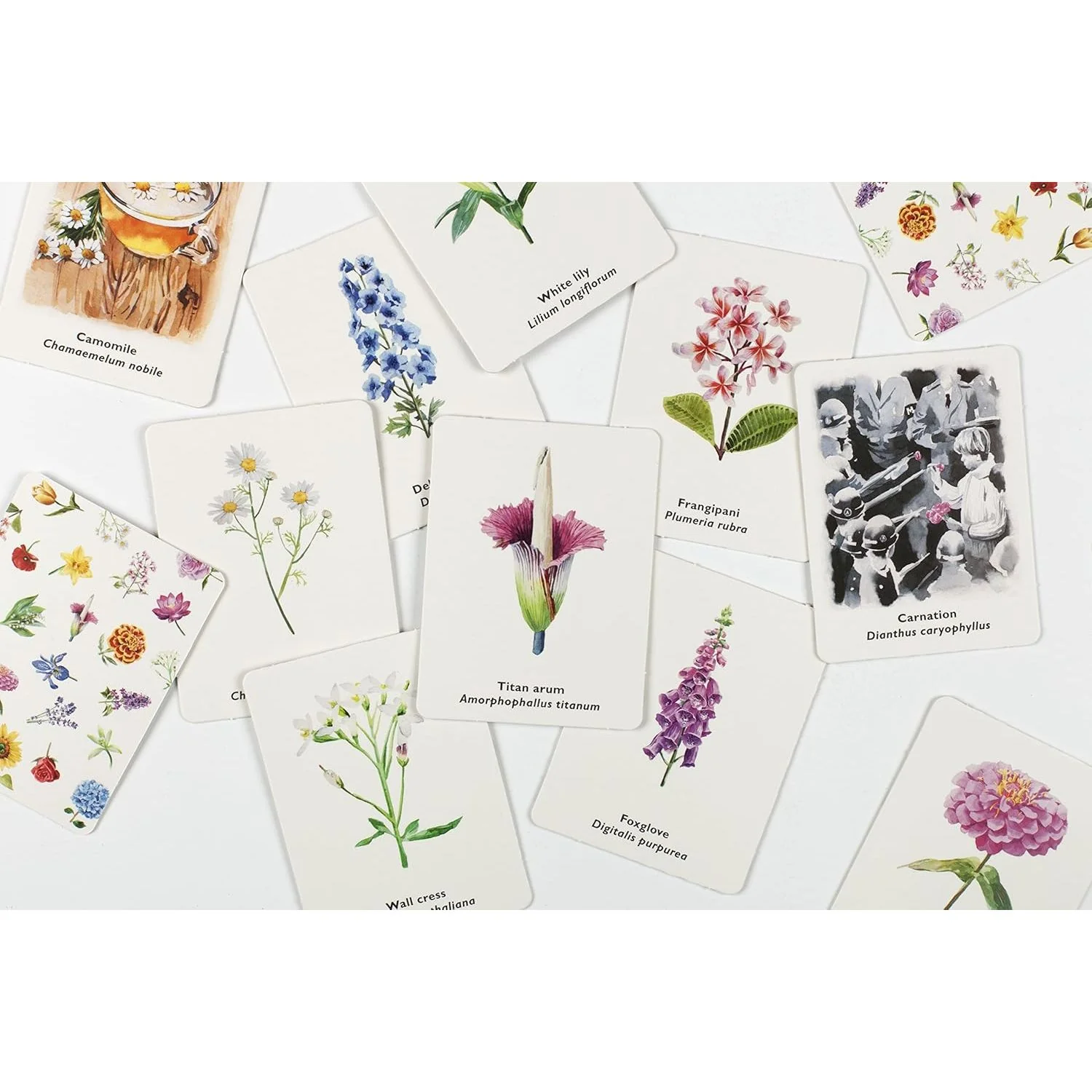 PICK A FLOWER MEMORY GAME - Image 3