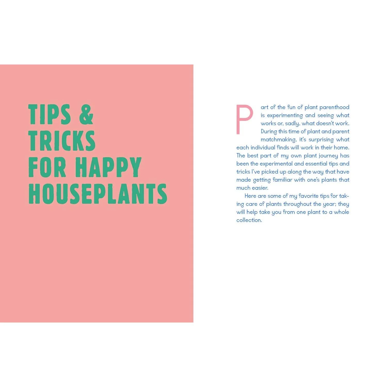 PLANTS ARE MY FAVORITE PEOPLE BY ALESSIA RESTA - Image 2