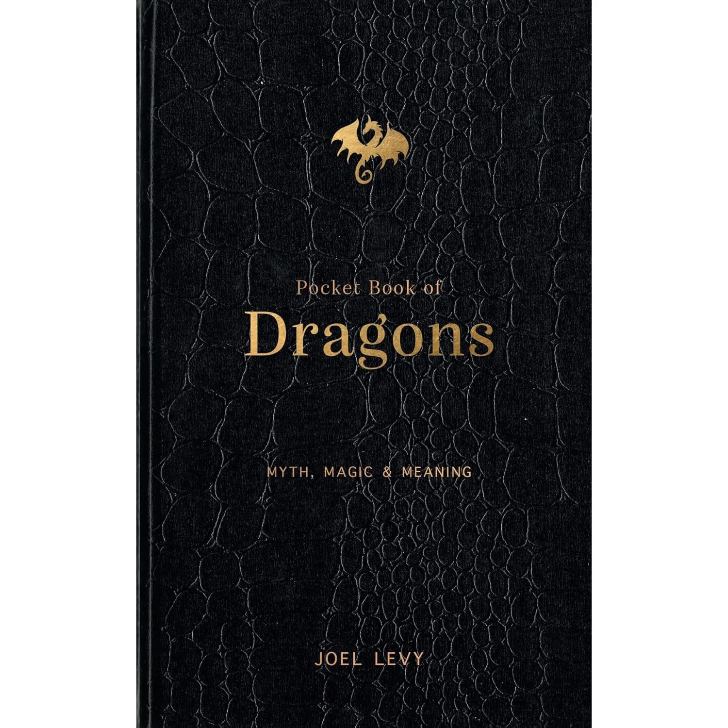POCKET BOOK OF DRAGONS: MYTH, MAGIC, & MEANING BY JOEL LEVY