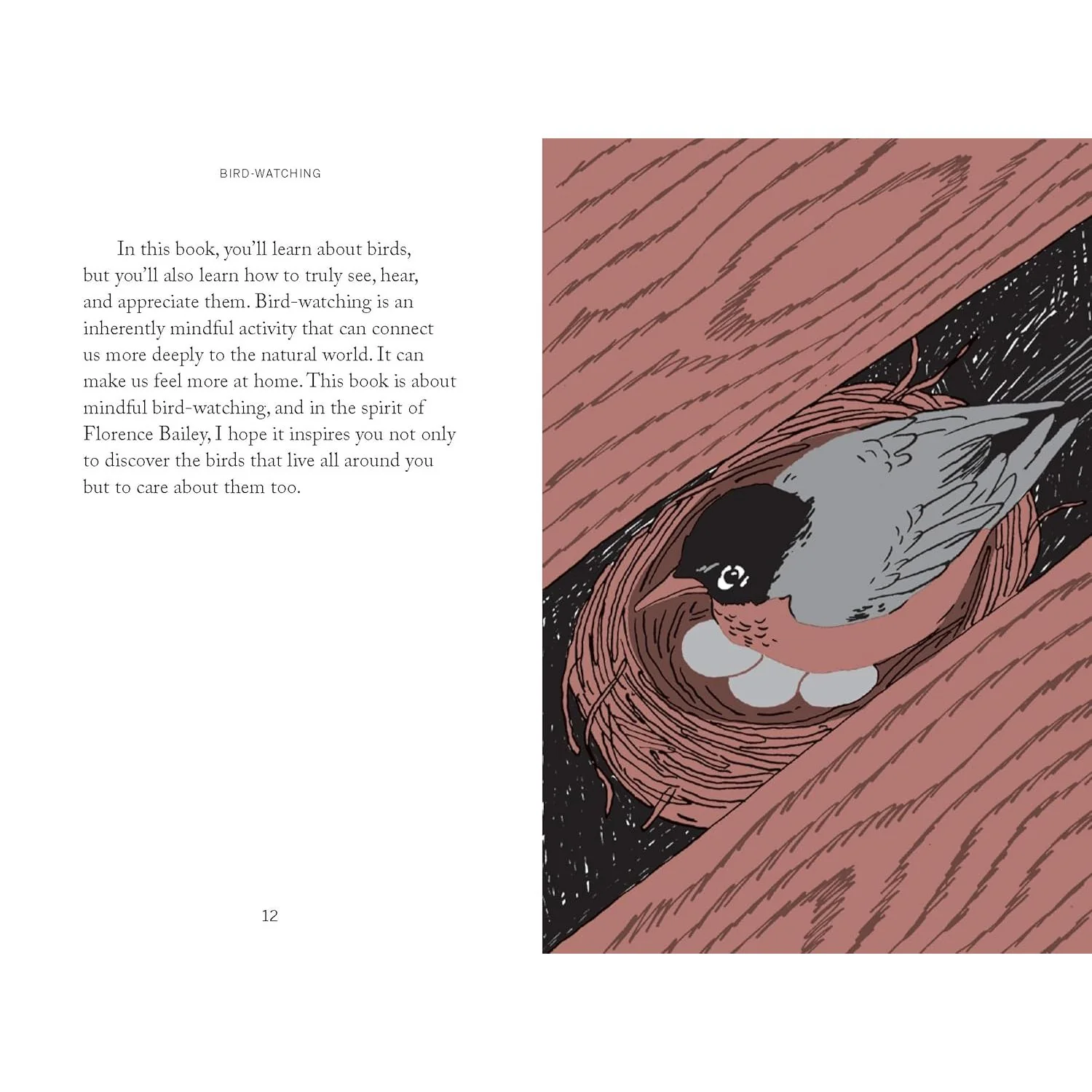 POCKET NATURE: BIRD WATCHING - Image 2