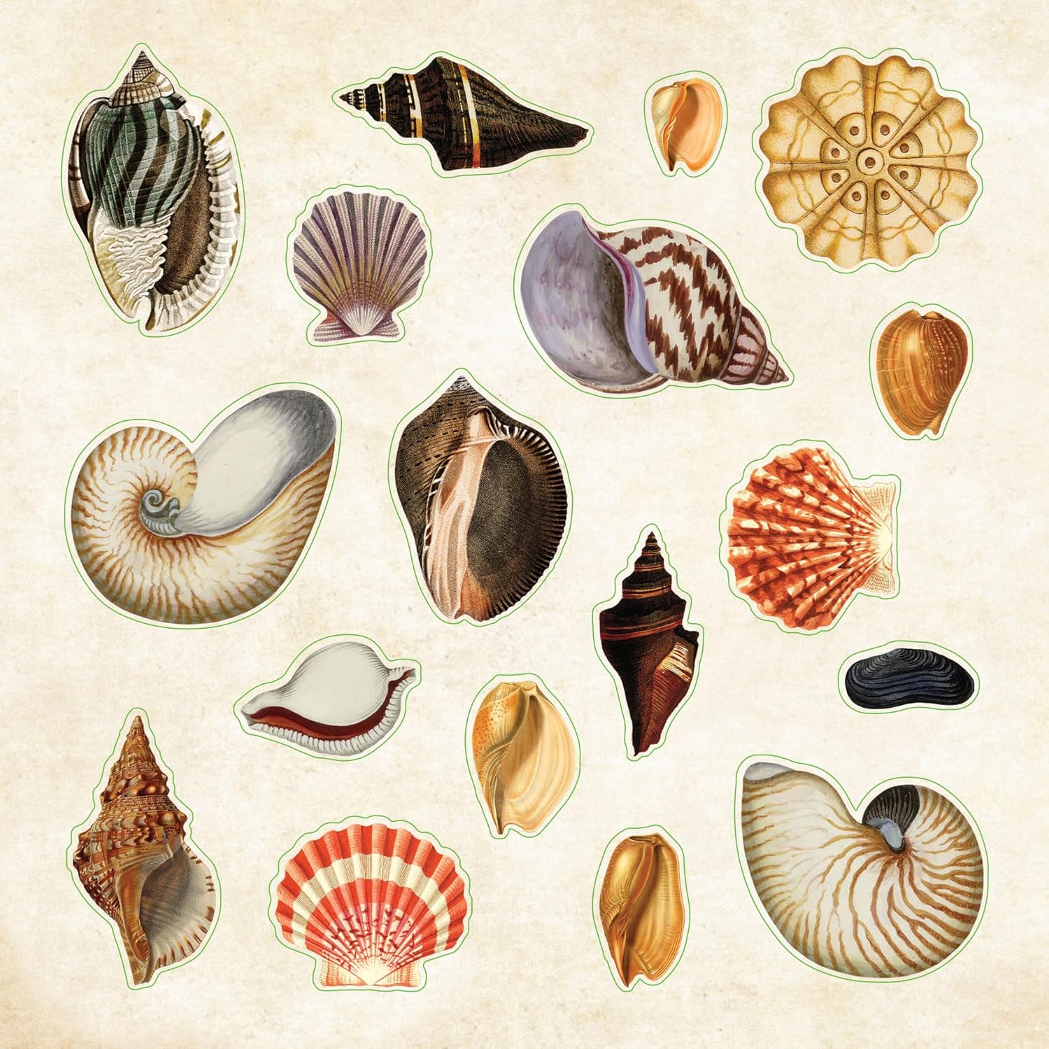 POSEIDON'S KINGDOM STICKER BOOK - Image 5