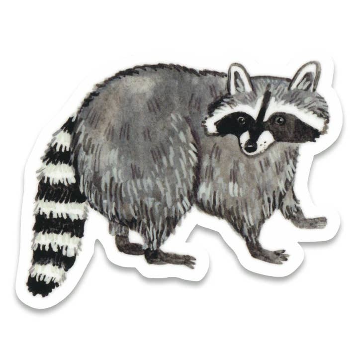 RACCOON STICKER