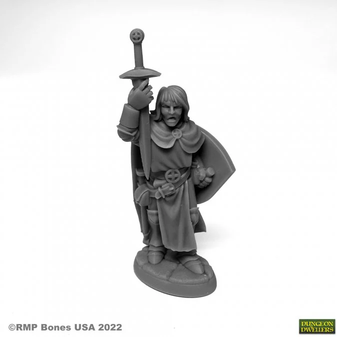 SIR DANAREL THE HOLY