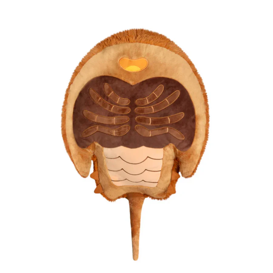 SQUISHABLE HORSESHOE CRAB - Image 3