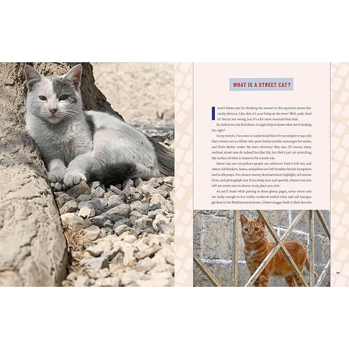 STREET CATS AND WHERE TO FIND THEM: THE MOST FELINE-FRIENDLY CITIES AND ATTRACTIONS AROUND THE WORLD BY JEFF BOGLE - Image 2