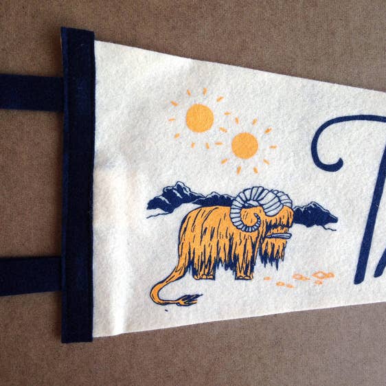 TATOOINE PENNANT - Image 3
